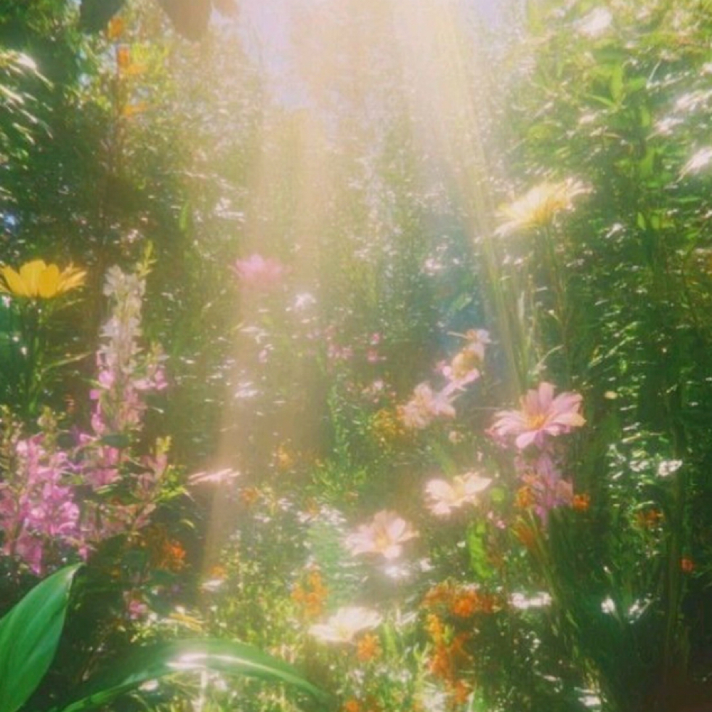 Garden Fairy 🧚🏼‍♂️💫 at Ethereal Aura LLC in Crown Point, IN