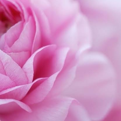 2 Week Hybrid Refill