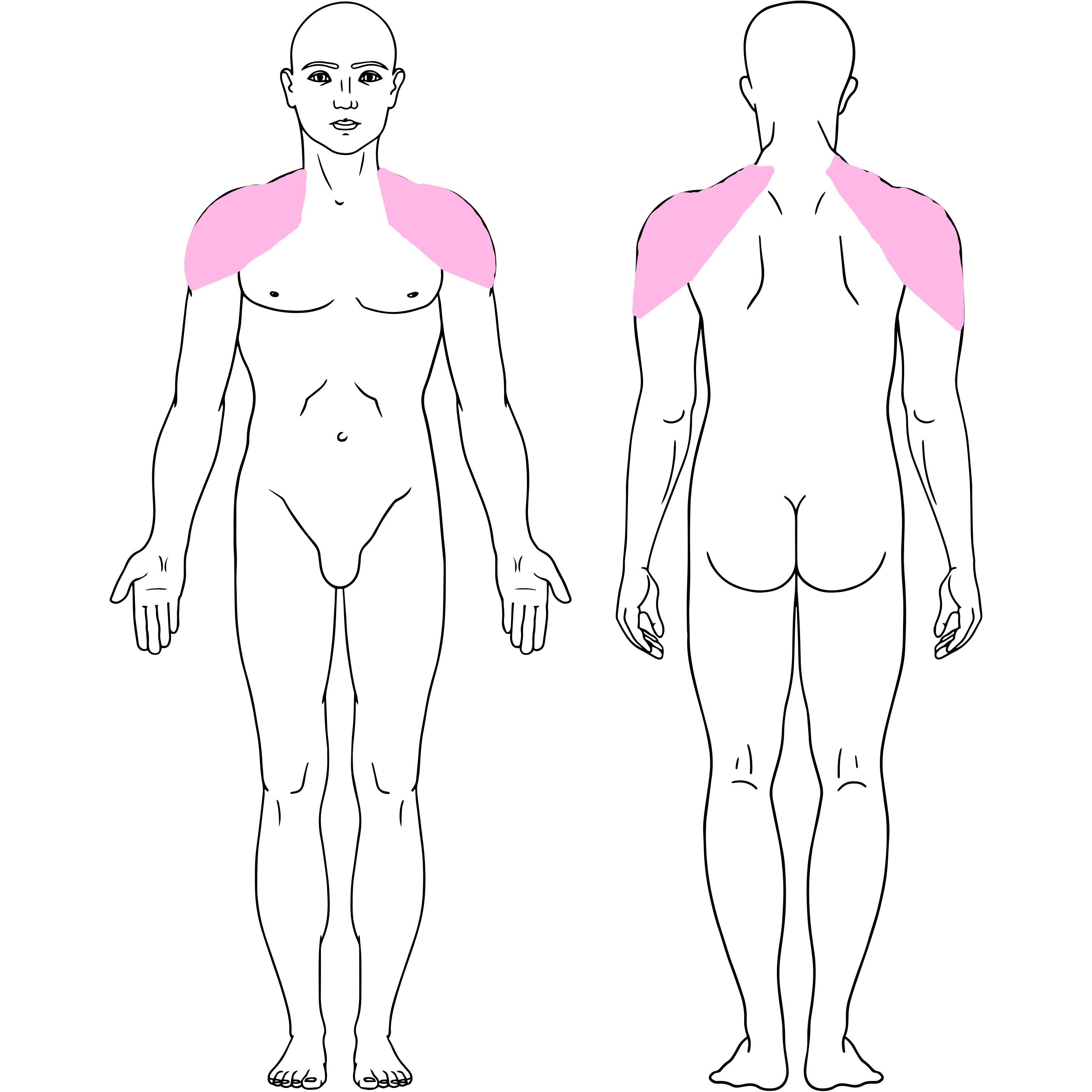 Shoulders