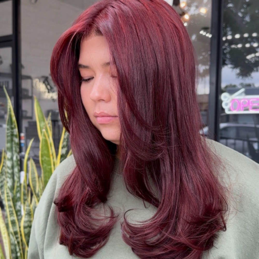 Basic All Over Color at Blendz by Benz in Vista, CA