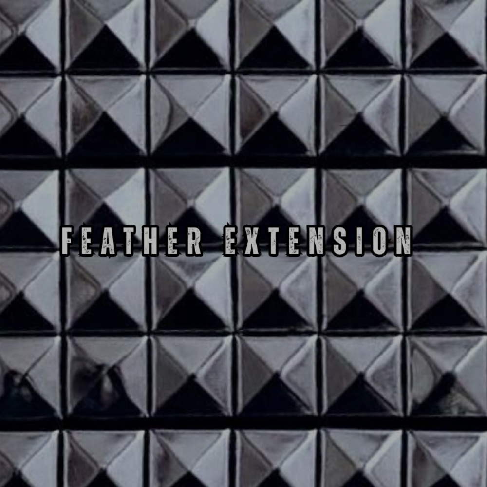 Feather Extension at nightmarebones in El Cajon, CA