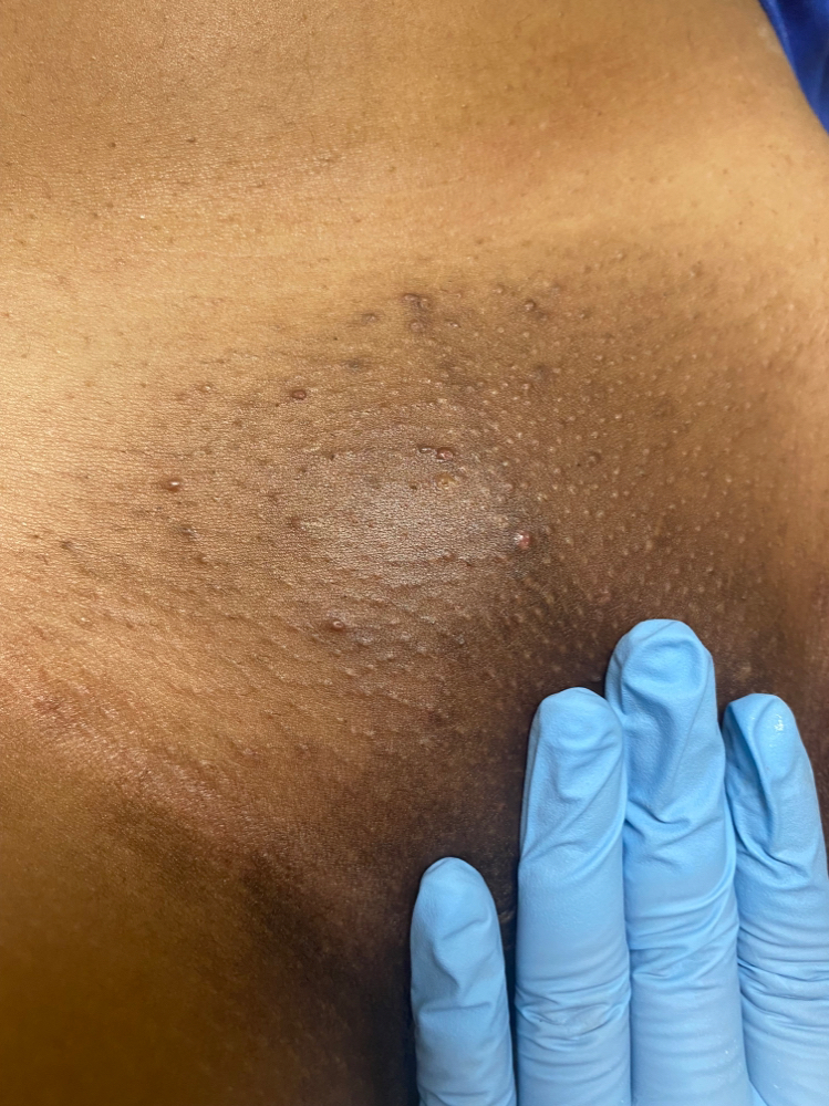 Brazilian (women) at Black Honey Beauty Club in Memphis, TN