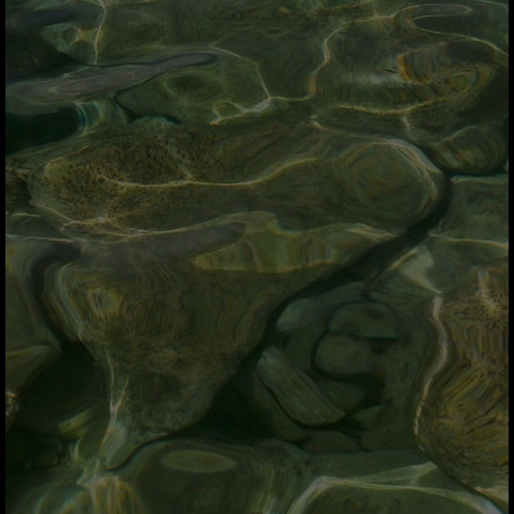 The Skin Discovery Ritual at Alexxa Esthetic in Berkley, MI