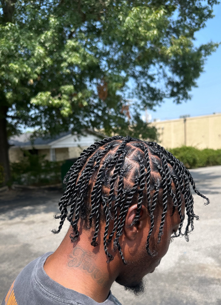 Two Strand Twist Natural Hair
