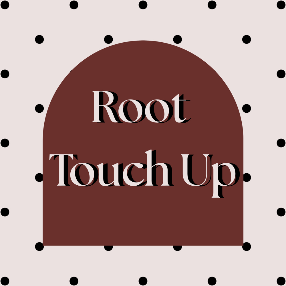 Root Touch Up at Pretty On Purpose in Lascassas, TN