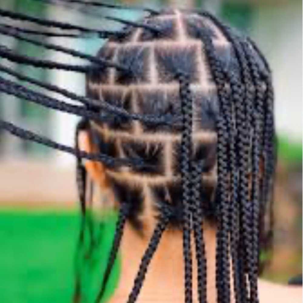 #81. Women Box Braids On Nat Hair at ROZAY'S TOUCH SALON LLC.. in Harrisburg, PA