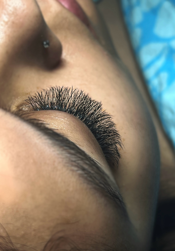Hybrid 1 Week Mini Fill