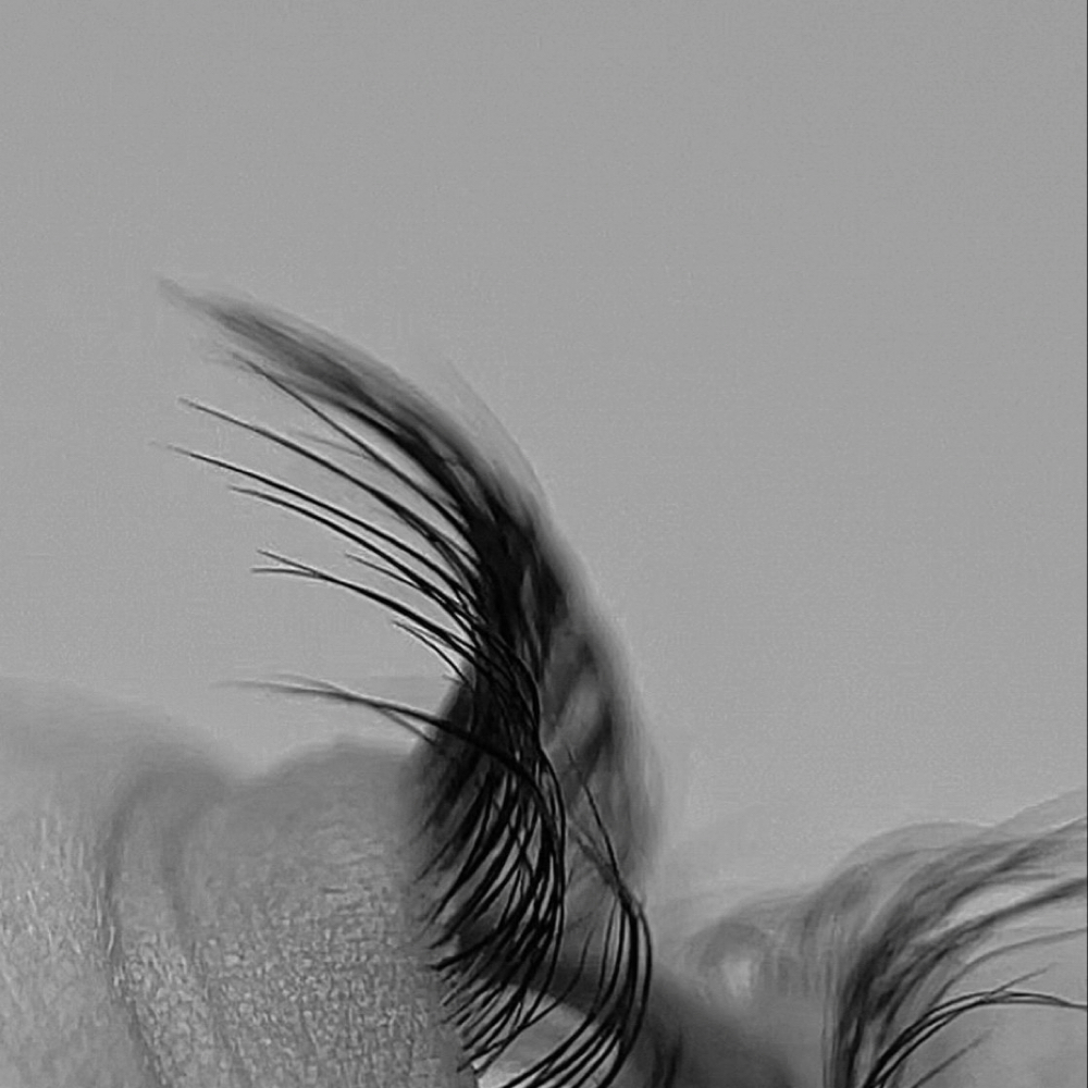 Lash Lift / Tint at Canvas Salon Co. in Jackson, MI