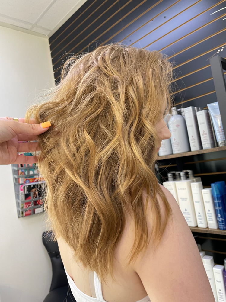 Shampoo And Style