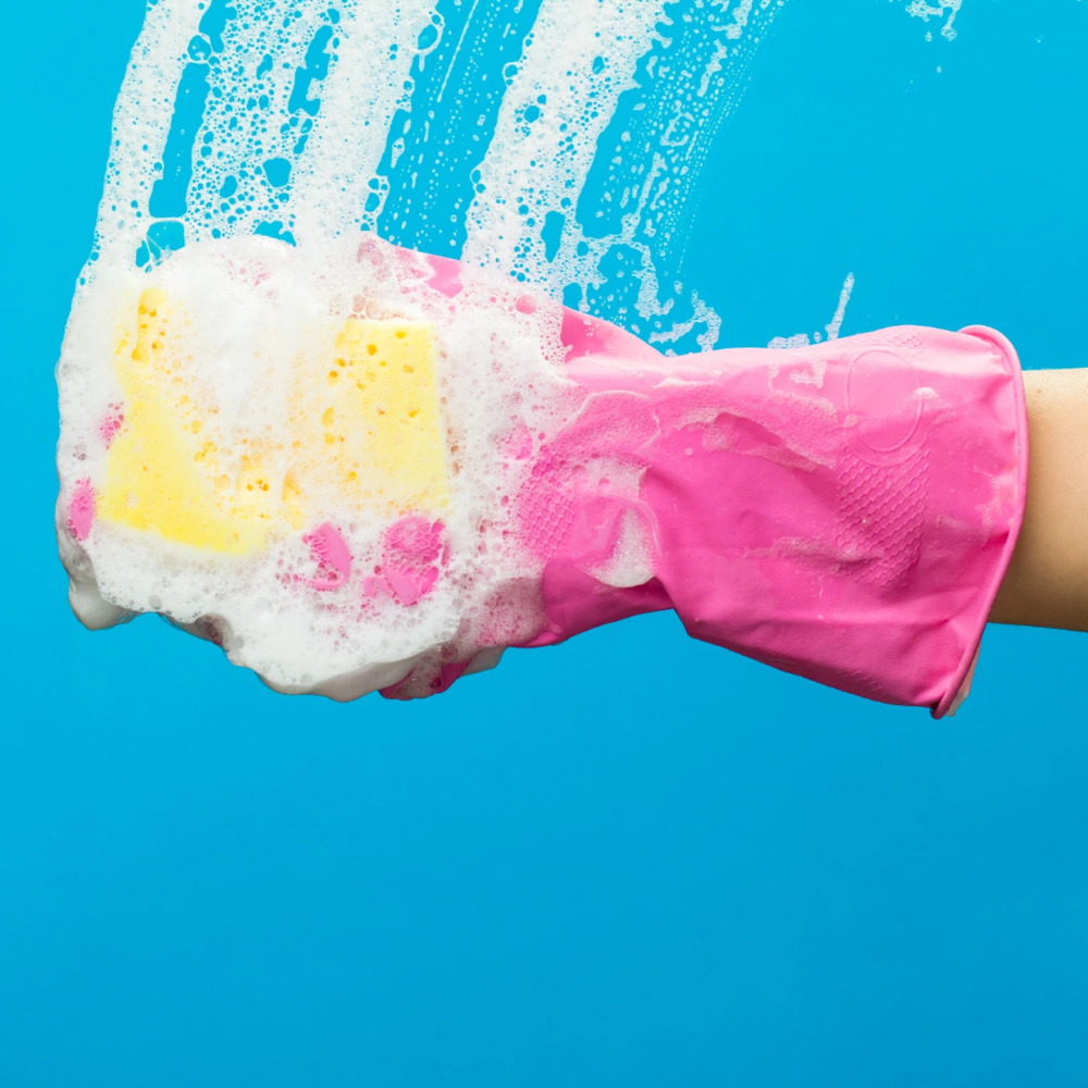 Basic Home Clean