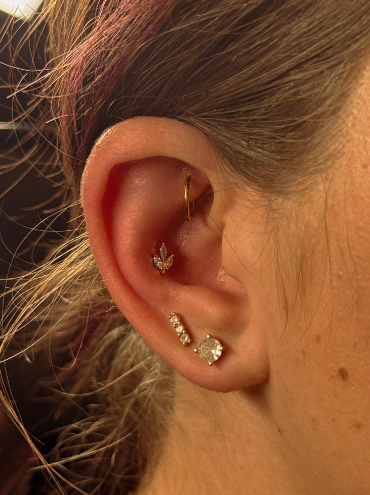 Rook Piercing at Desert Gems in Reforge, UT