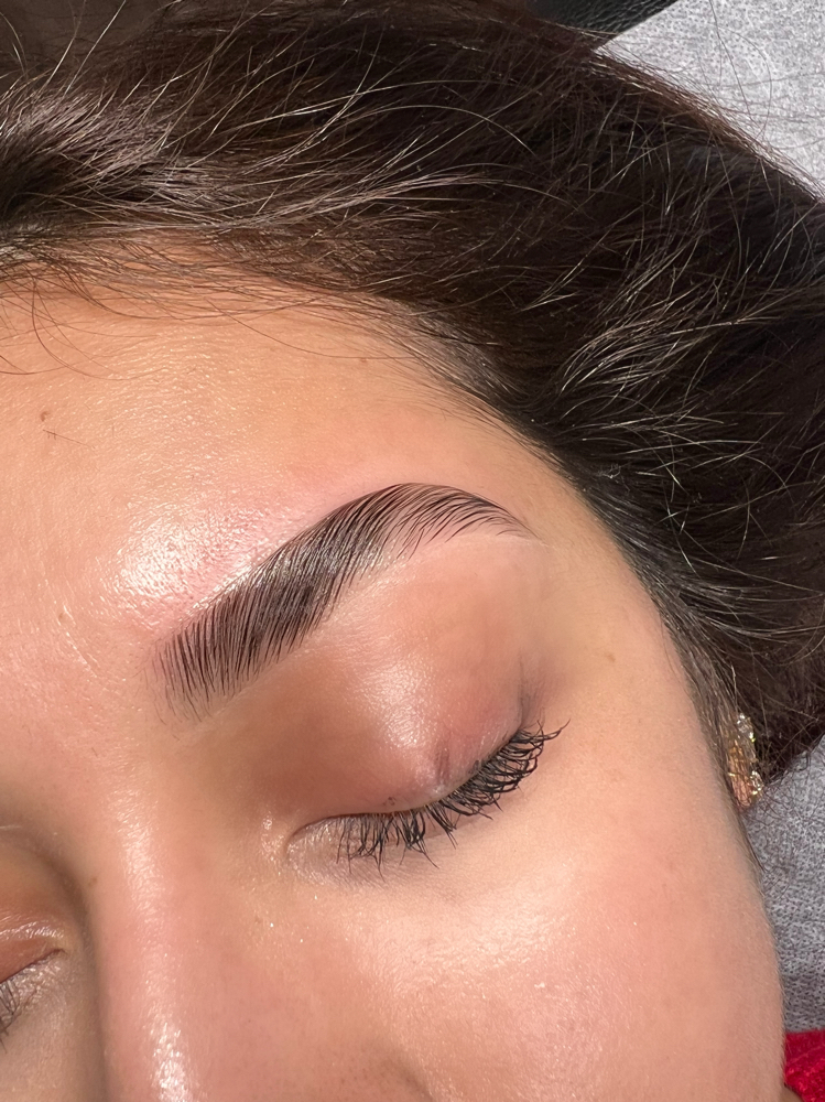 brow wax & lamination