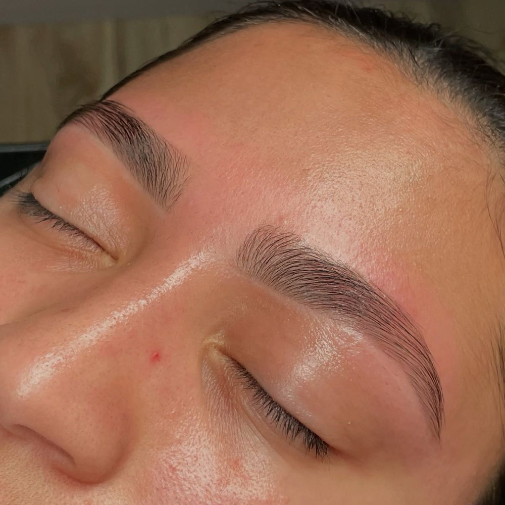 Brow Thread + Tint at LuNel Skyn in Lawrence, MA