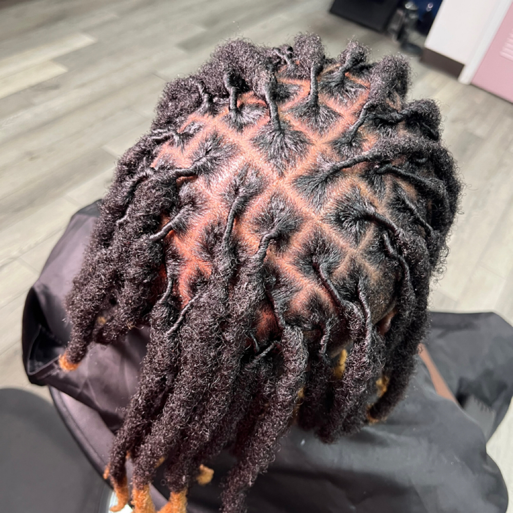 Retwist at ExoticStylezbyReđź’• in Alabaster, AL