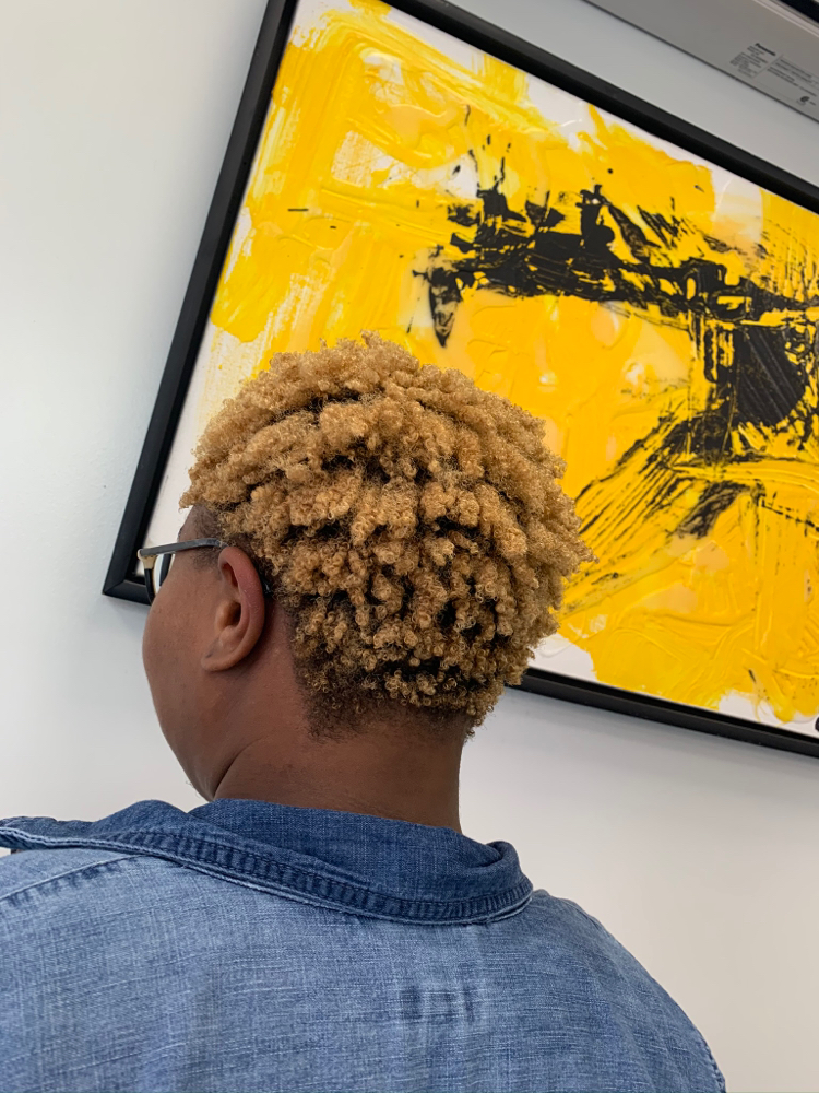 New Client Curly Cut (Short)