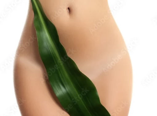 Full Brazilian Wax at SOLO BEAUTY SALON in Elizabeth, NJ