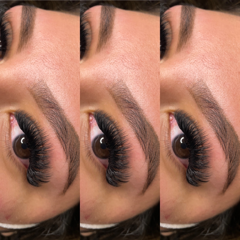 Light Volume (hybrid)