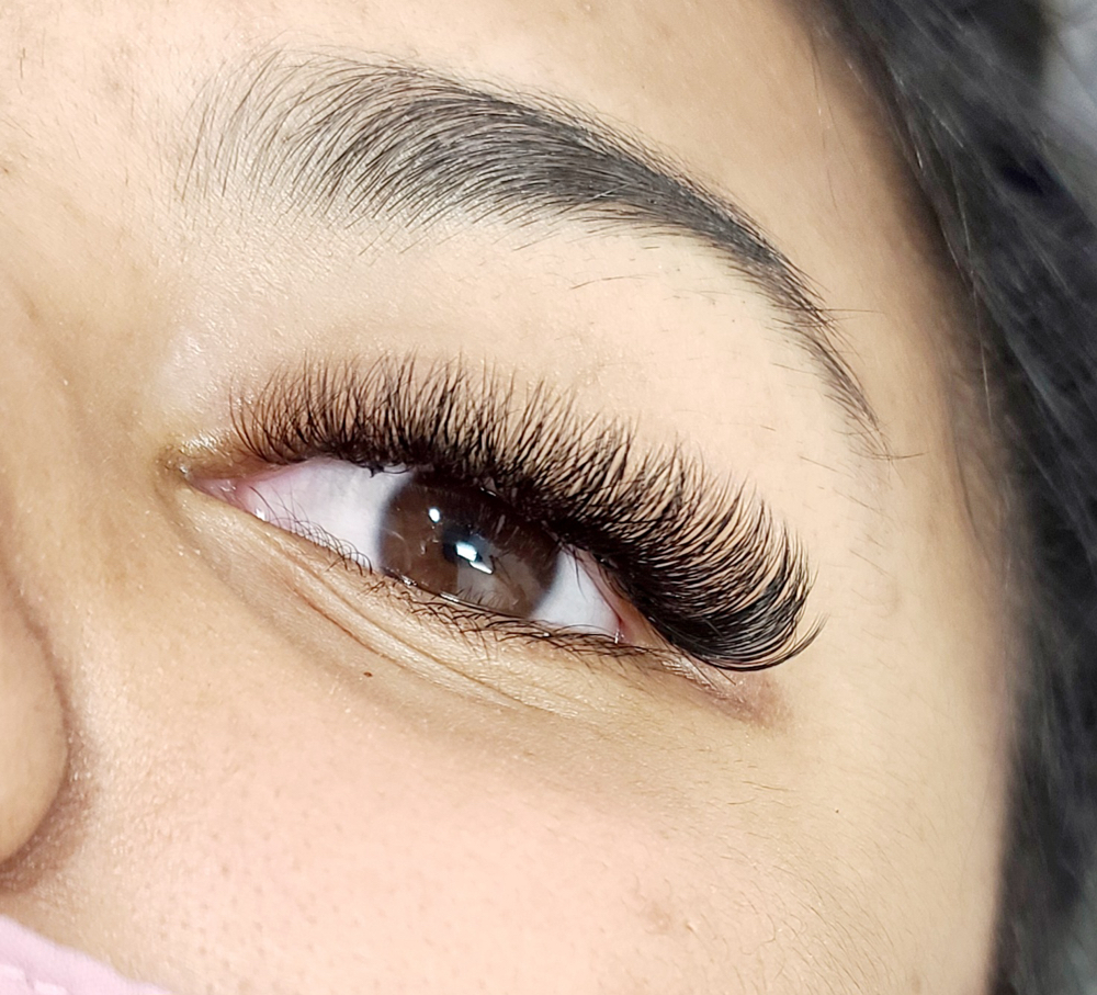 Max Lash Fill ( 25- 29days)