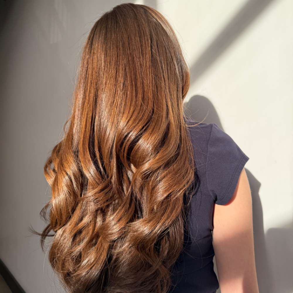 Signature Haircut at Modish Looks in Fort Worth, TX