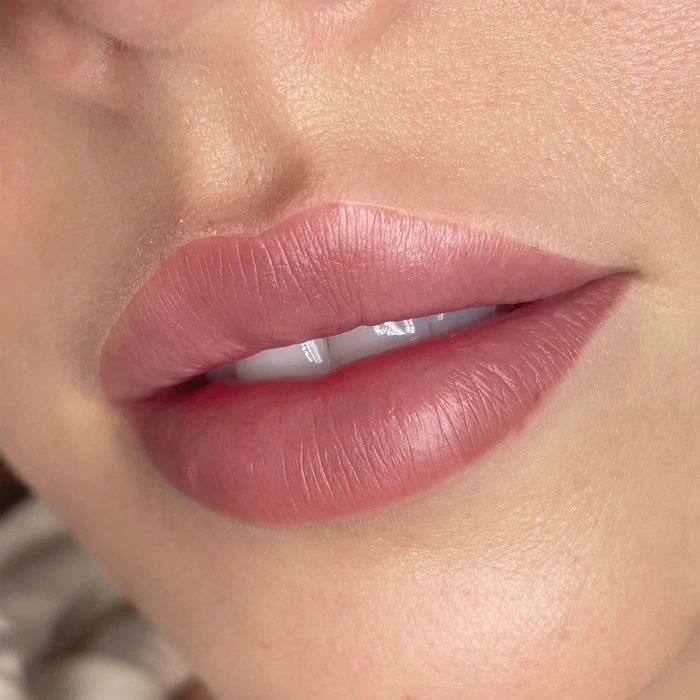 Lip Blushing at Niki Ink in White House, TN