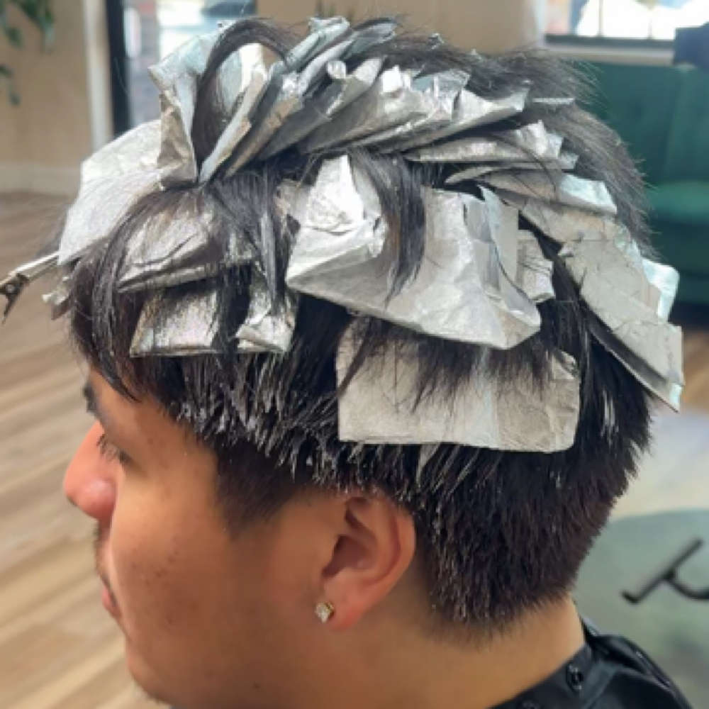Mens Highlights at Hair by Liz Graibe in Torrance, CA