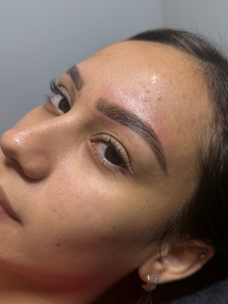 Brow Lamination Model