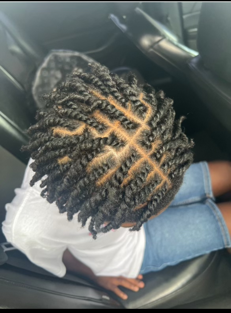 Brilliance Hanging Twists/ Braids