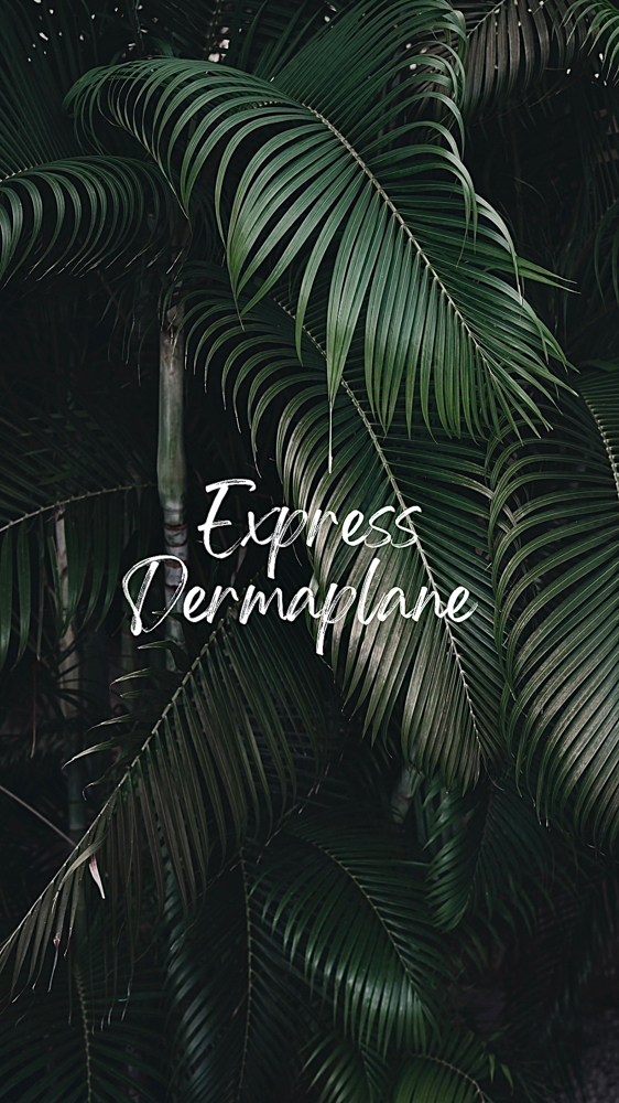 Express Dermaplane