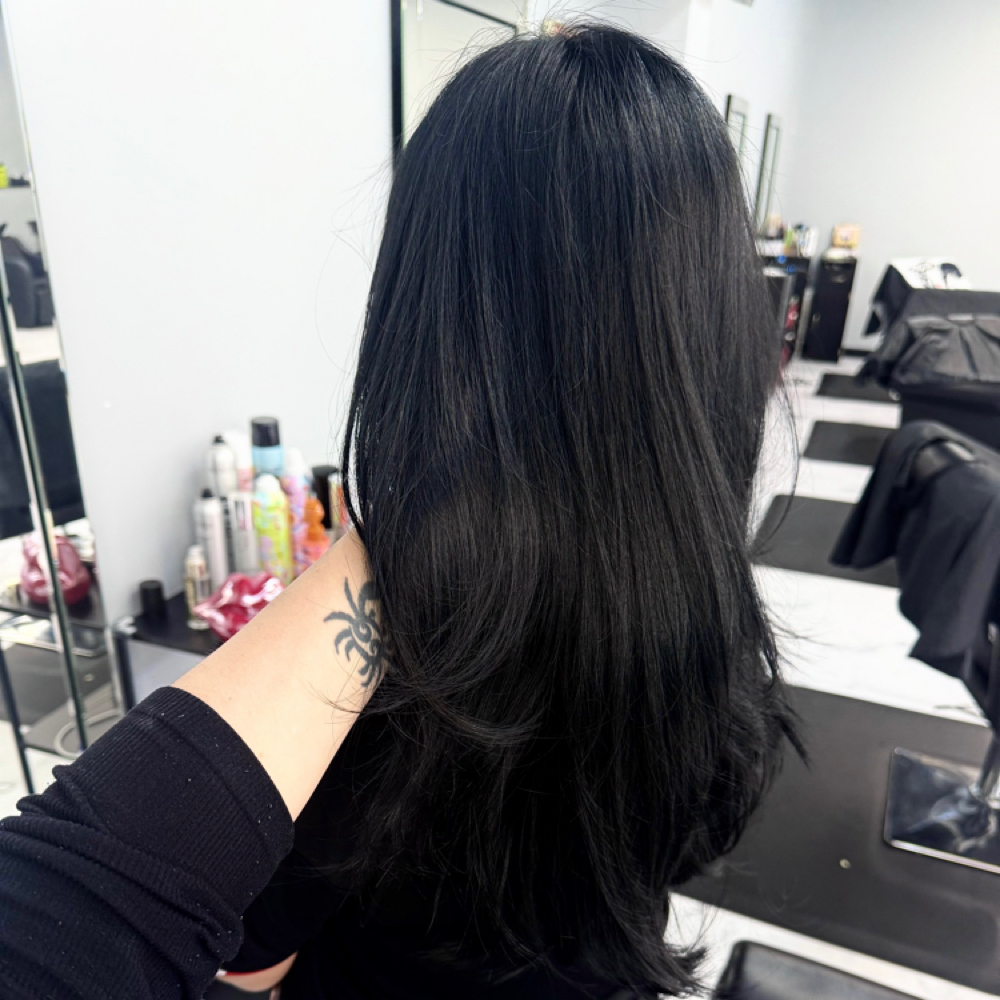 All Over Color at Reyes Styles Barbershop & Salon in Salisbury, MD