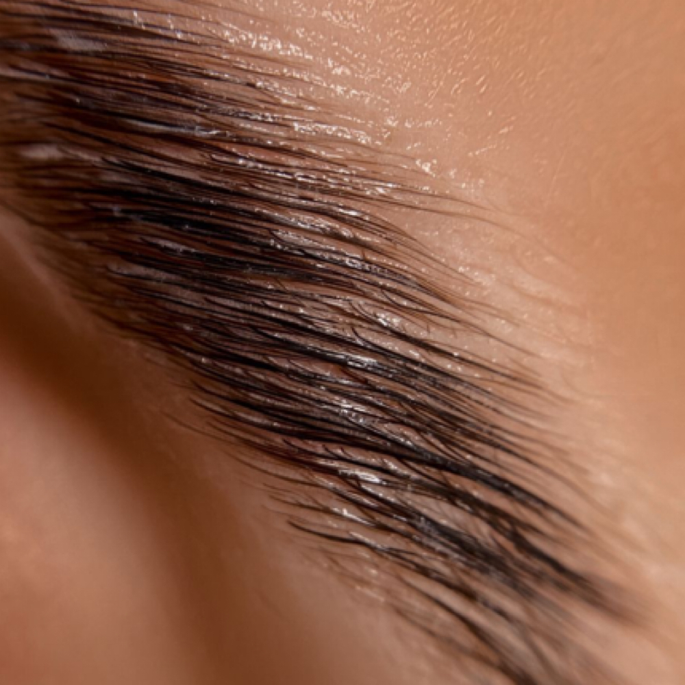 Brow Lamination + Tint