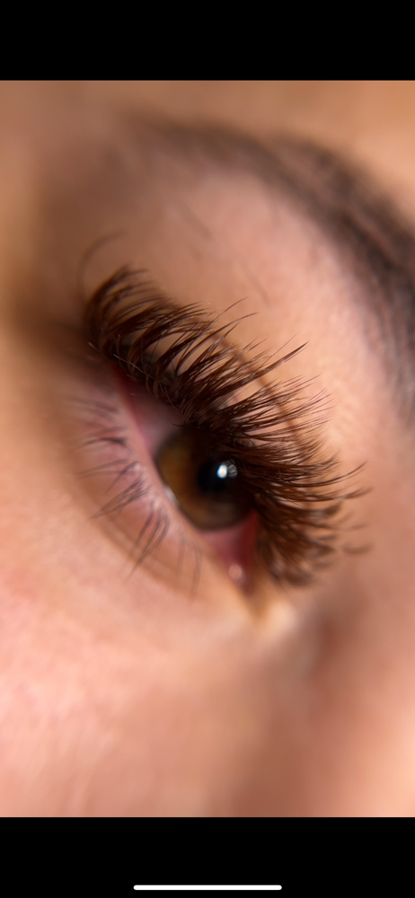 BROWN LASHES