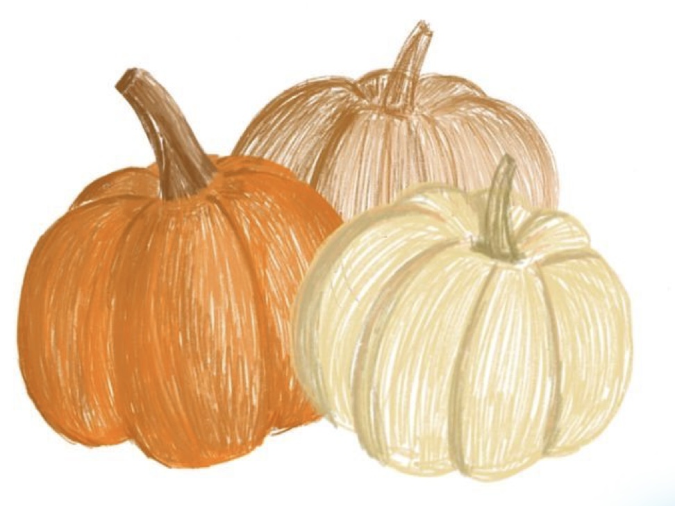 Pumpkin Mocha Facial