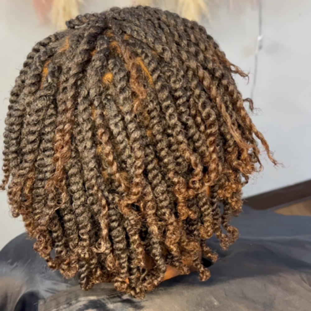 Two Strand Twist at Hairstyles By J Mott in Acworth, GA