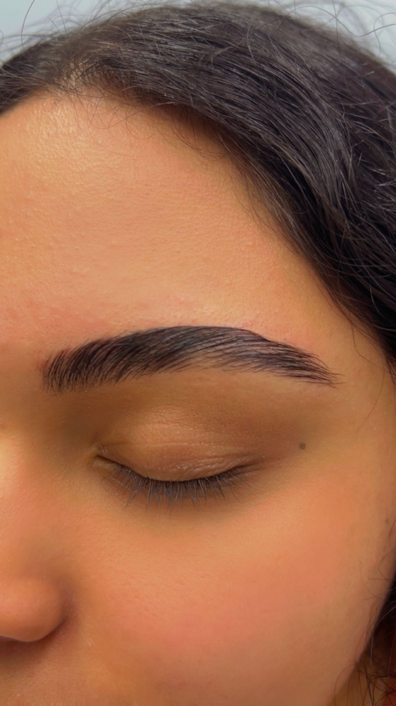 Eyebrow Lamination & Tinting at Esthetics by bren in Poplar Grove, IL