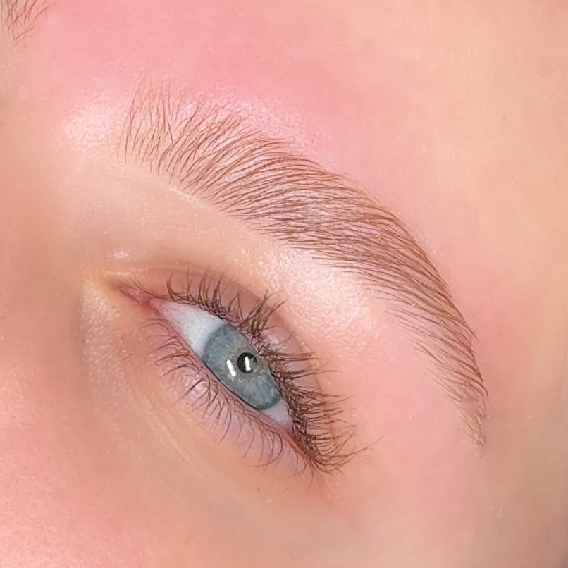 Signature Brow Wax + Mapping at BeautyBySalena in Dearborn, MI