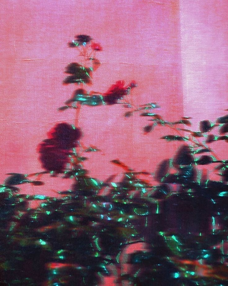 Dermaplane Express Facial at Kyrie Cecil Esthetics in Tucson, AZ