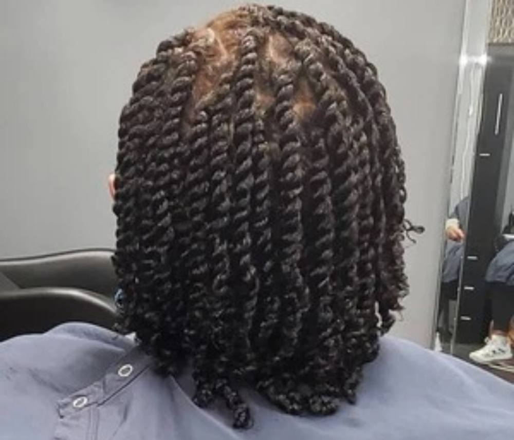 (No Locs) Natural Loose Hair