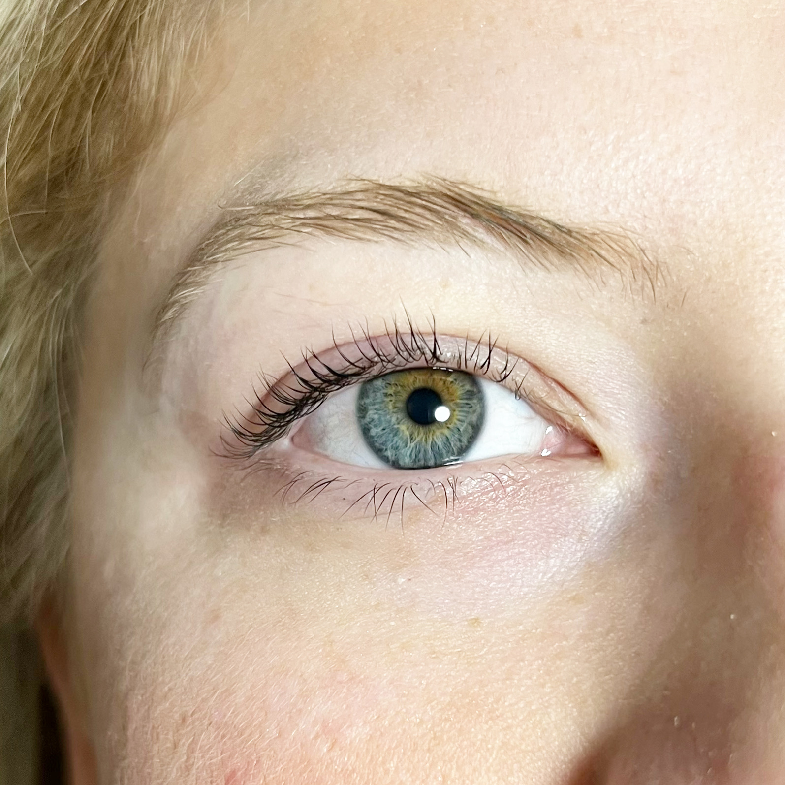 Lash Tint