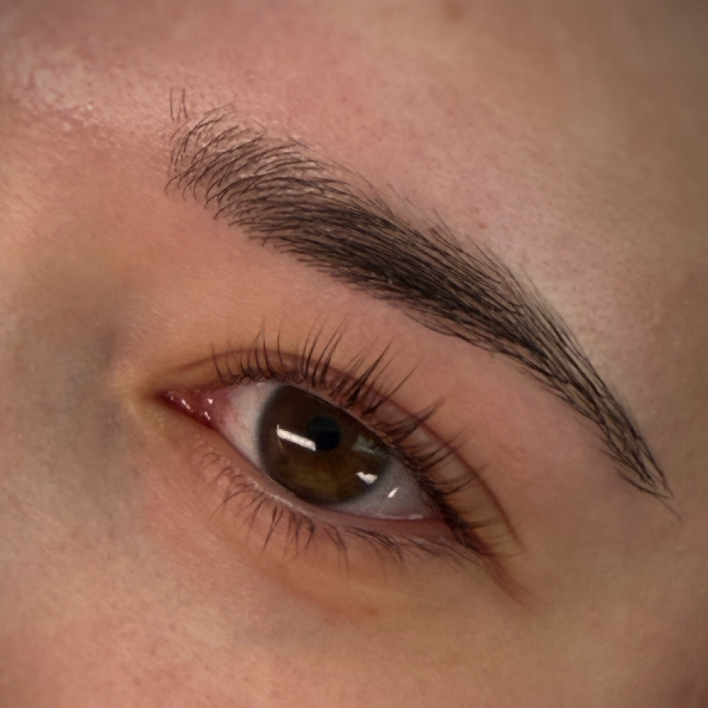 Lash Tint at The Opal Loft in Grand Blanc, MI