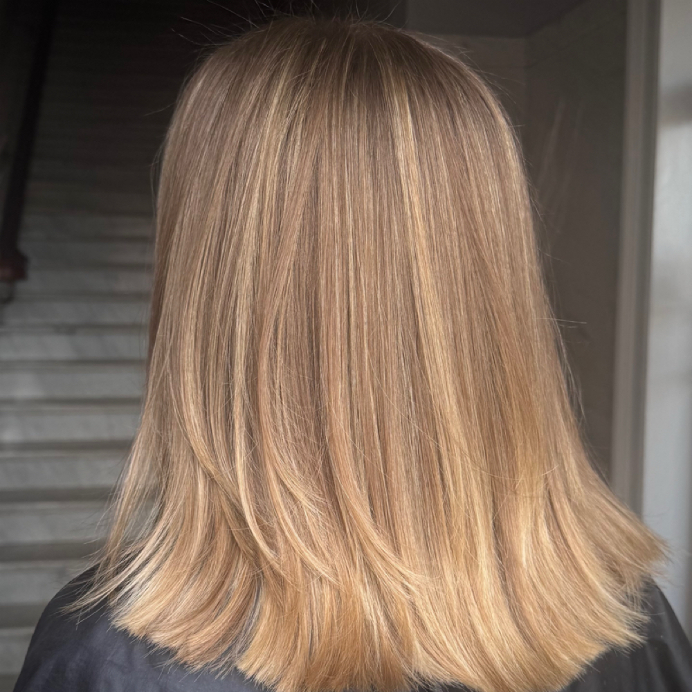 Partial Highlight at Beauty By Libbie in Leominster, MA