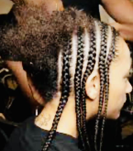 Take- Down (individual braids)