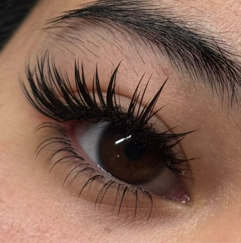 Hybrid Eyelash Extensions