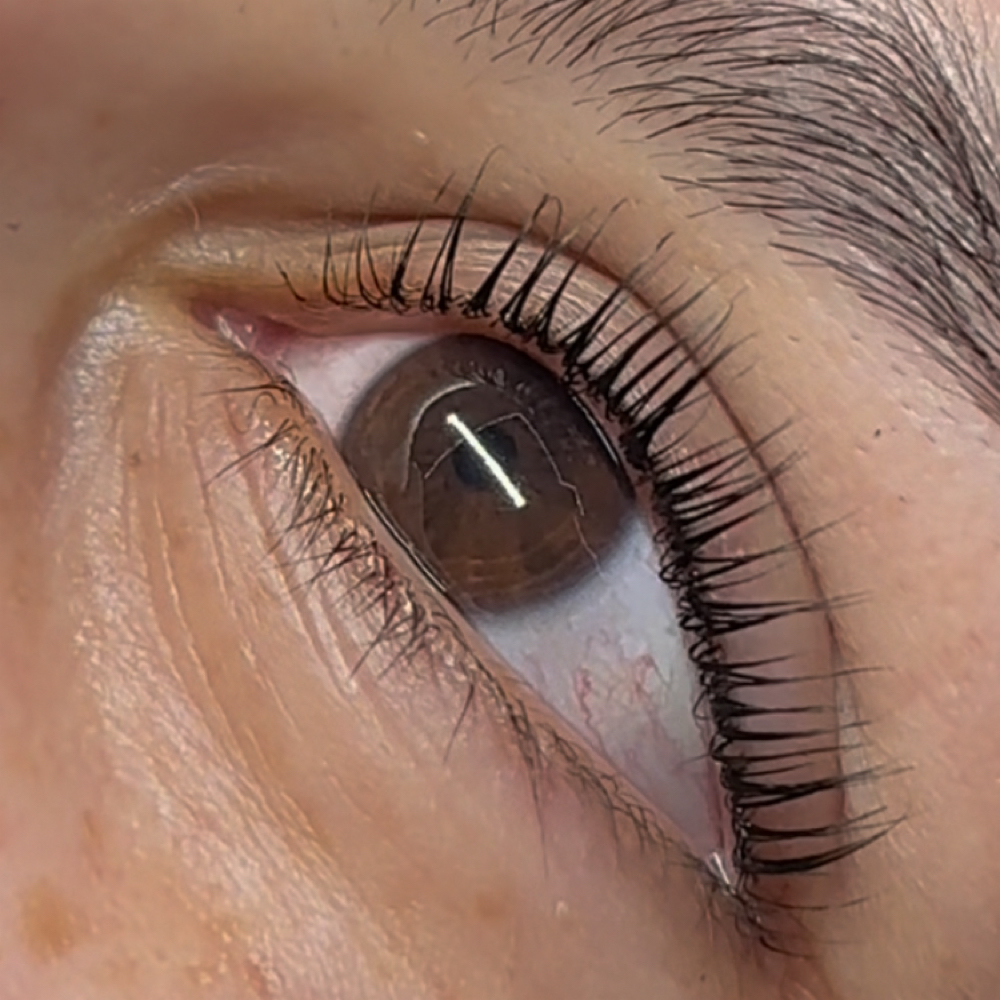 Korean Lash Lift at Kissed By Kim Lashes in Arleta, CA