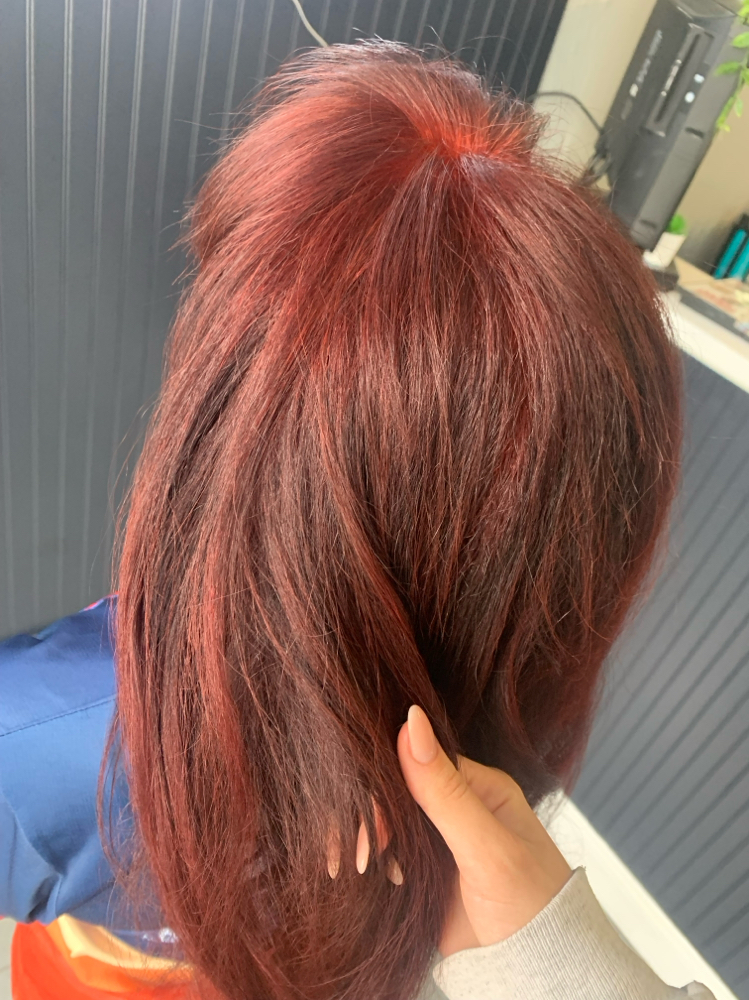 Root Touch Up Add-On at Samantha All Teased Up Co in Groveland, FL