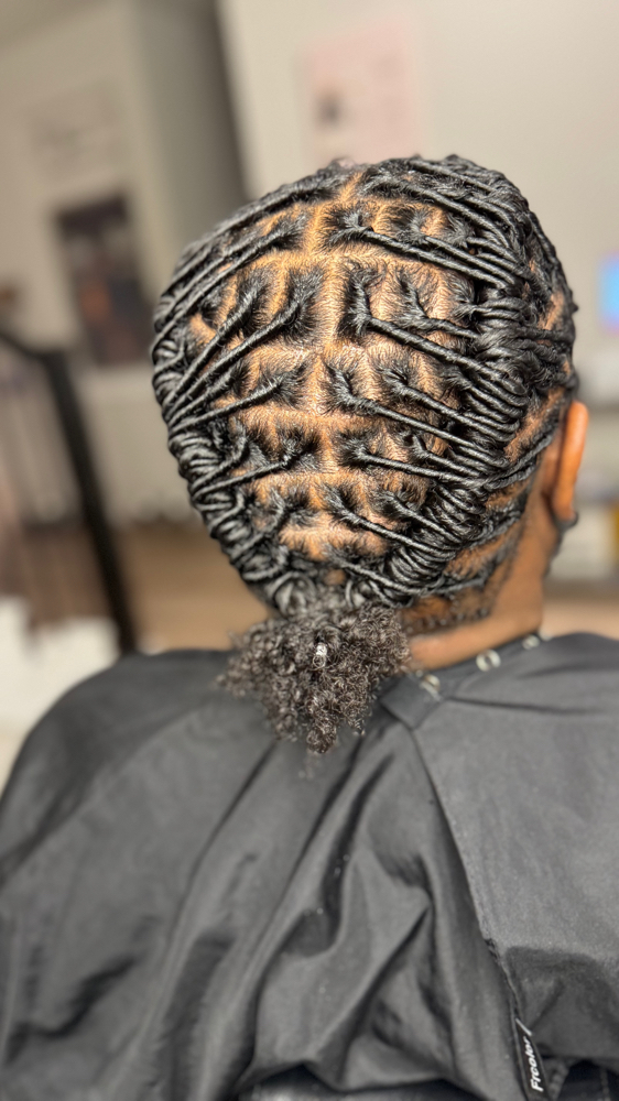 Starter Locs - Comb Coils