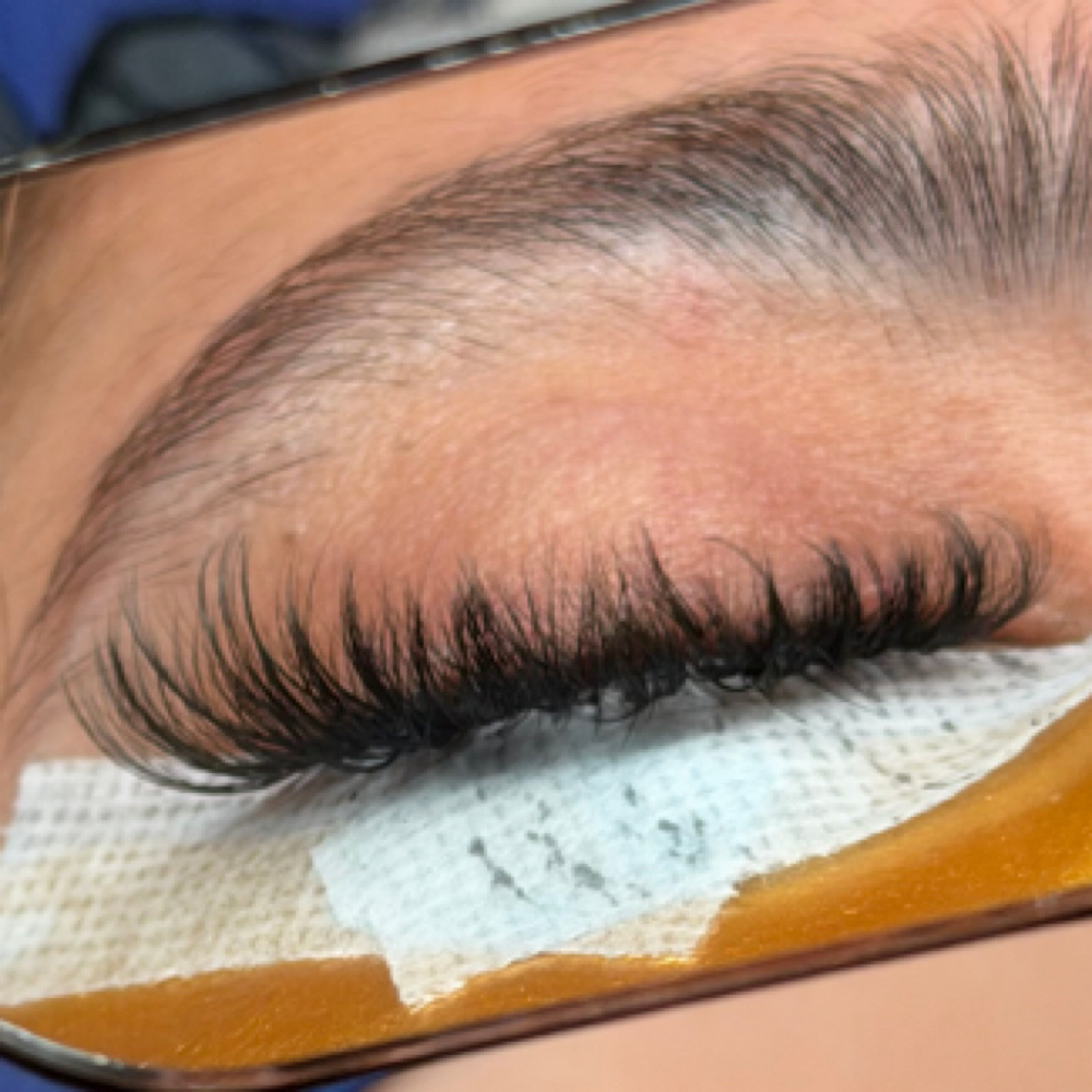 LUX HYBRID LASHES at BELLA SAINT in Shreveport, LA