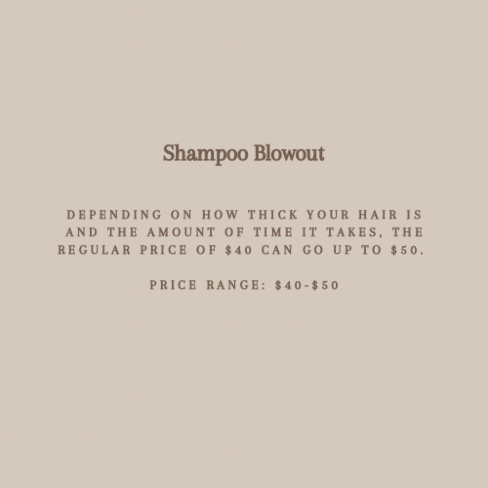 Shampoo Blowout at Christine Cook in Liverpool, NY