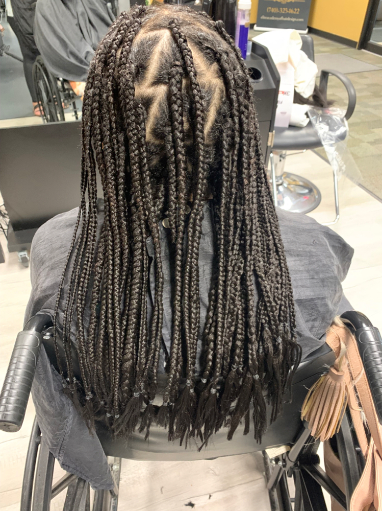 Braids With Feeds Ins