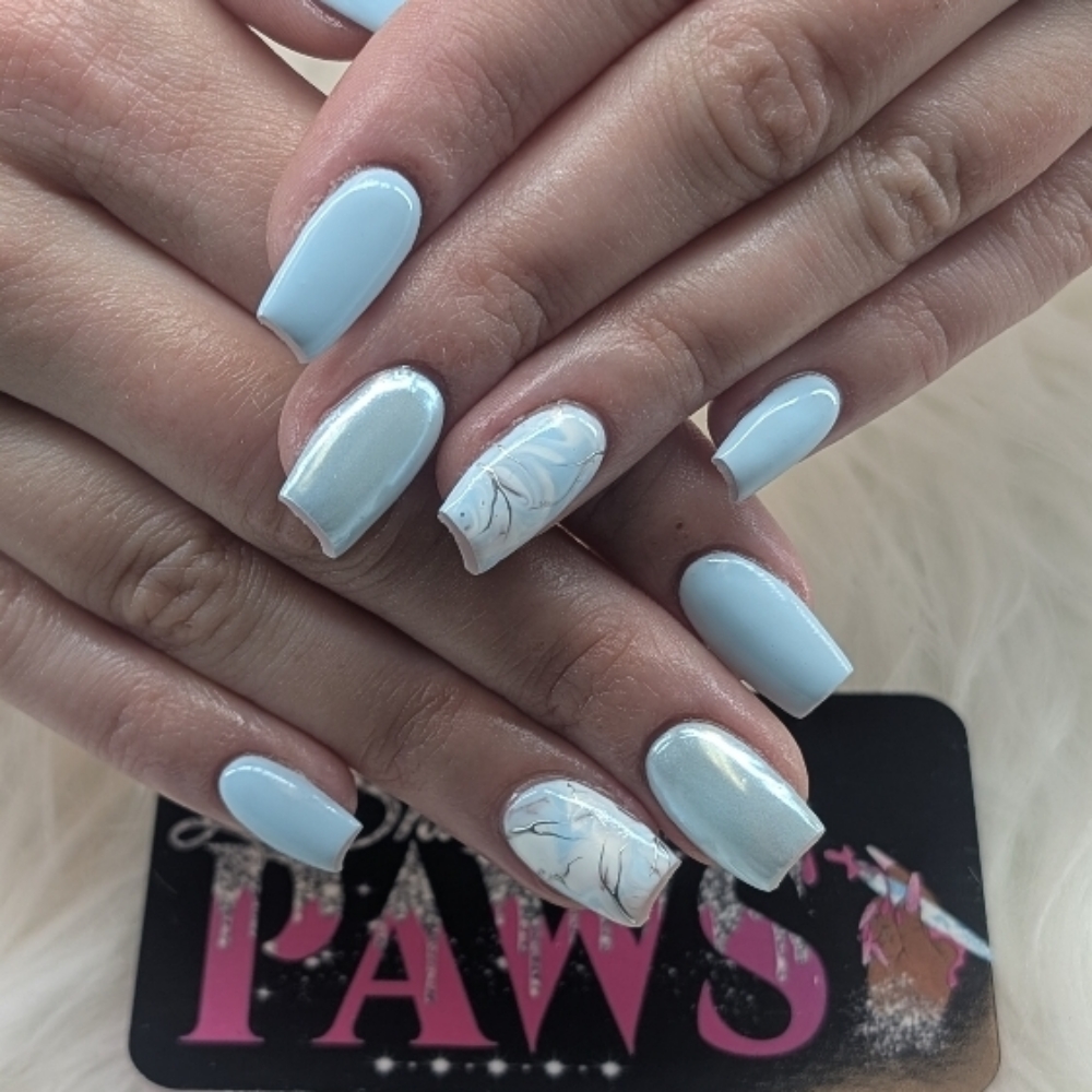 Chrome at LaShaea's Pretty Paws in Canton, OH