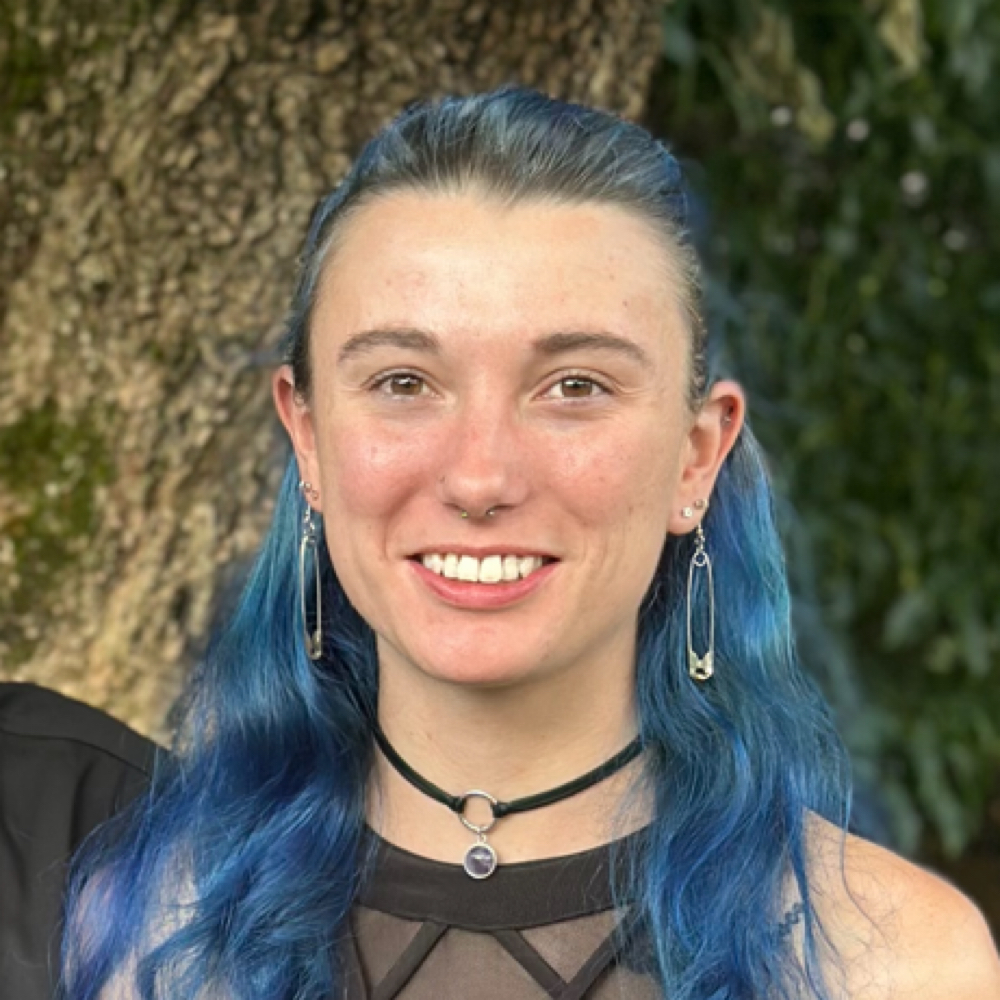 Audi Wiley